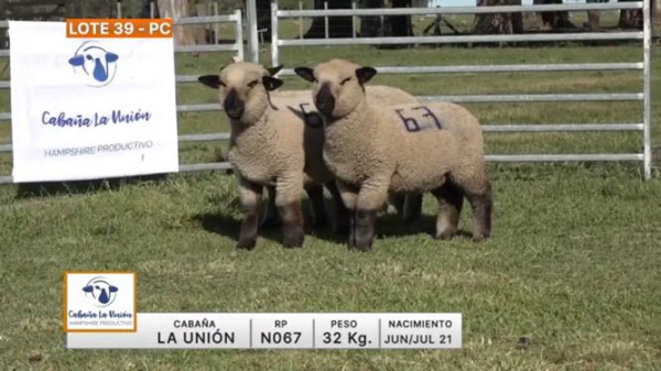 lote-39-la-union_1253571155