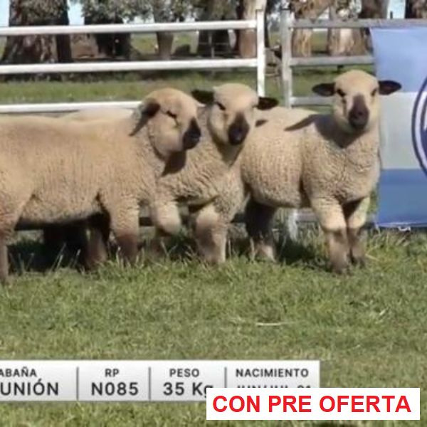 lote-40-la-union_333064751