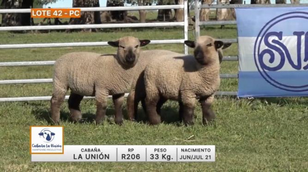 lote-42-la-union_582696145