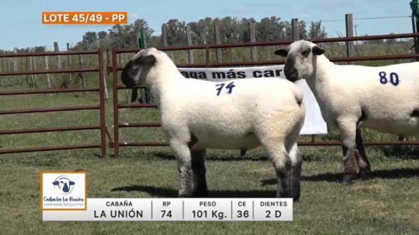 lote-45-49-la-union_2
