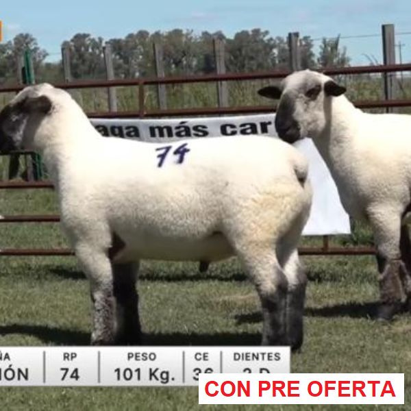 lote-45-49-la-union_2_1015810277