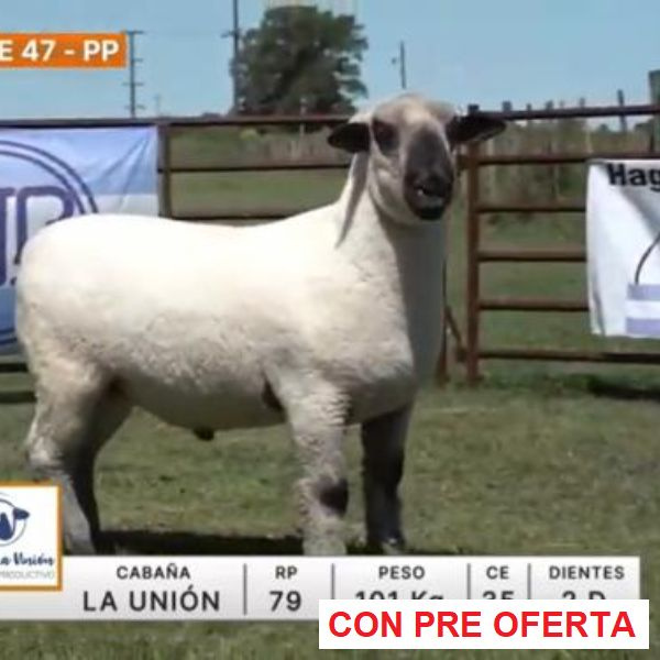 lote-47-la-union_851926547