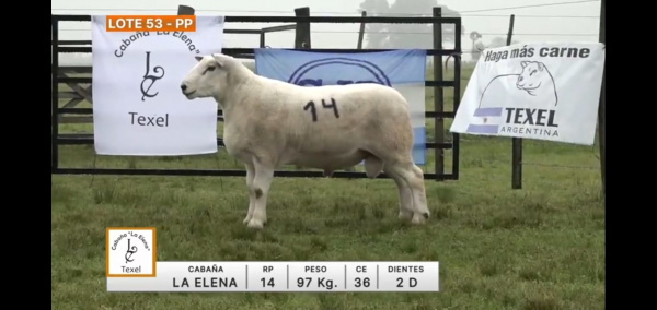 lote-53-la-elena_2092488601