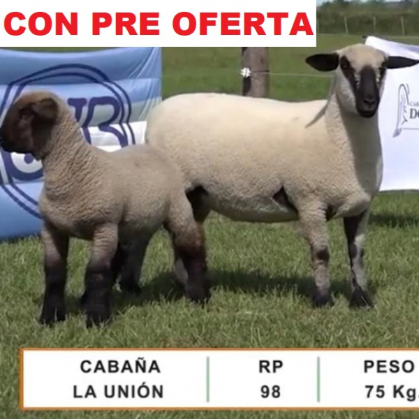 lote45-2-pre