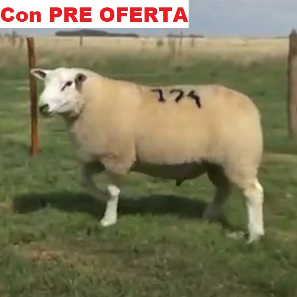 lote6-pre_2083923496